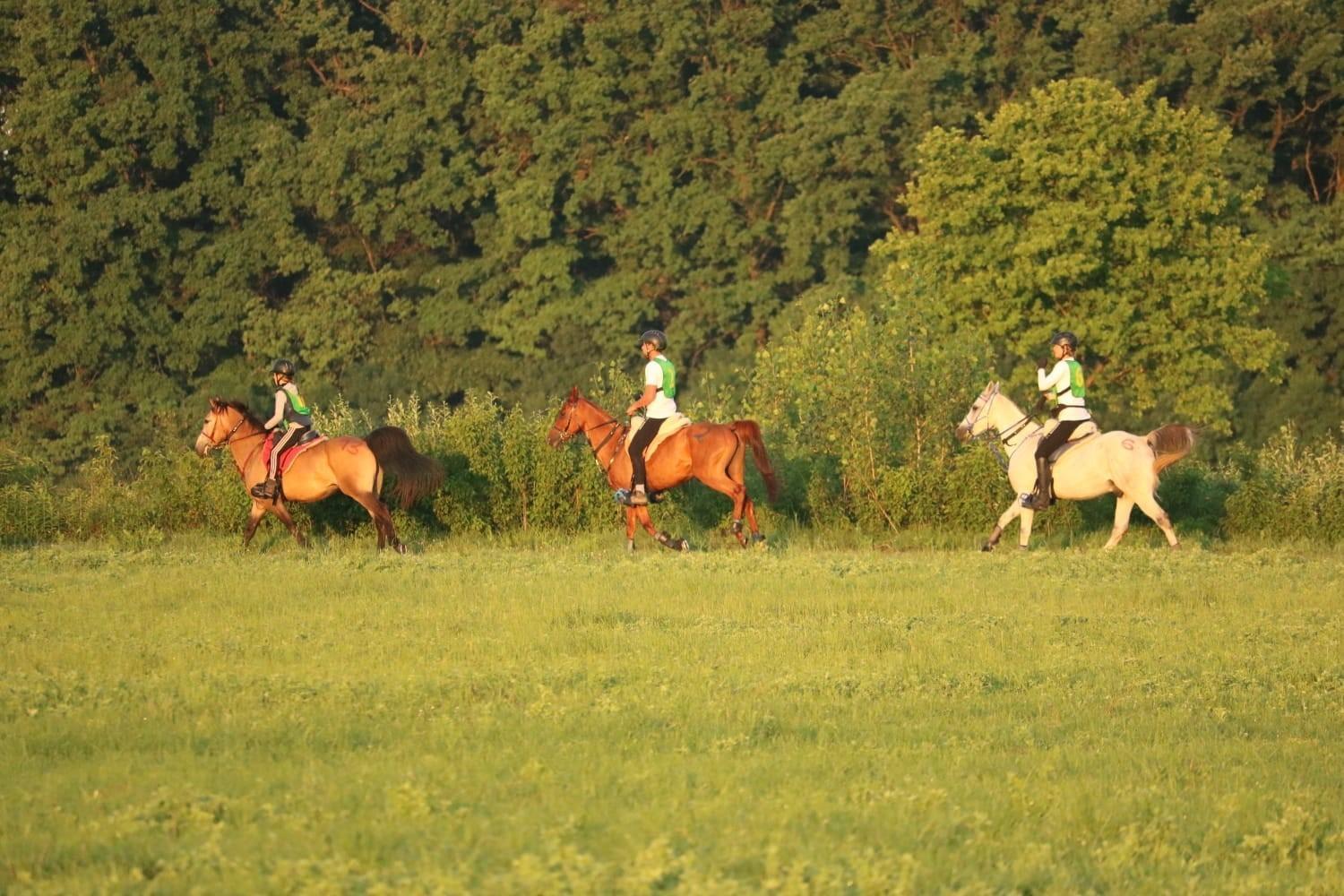 Ranc Ramarin Villa Garcin Kültér fotó